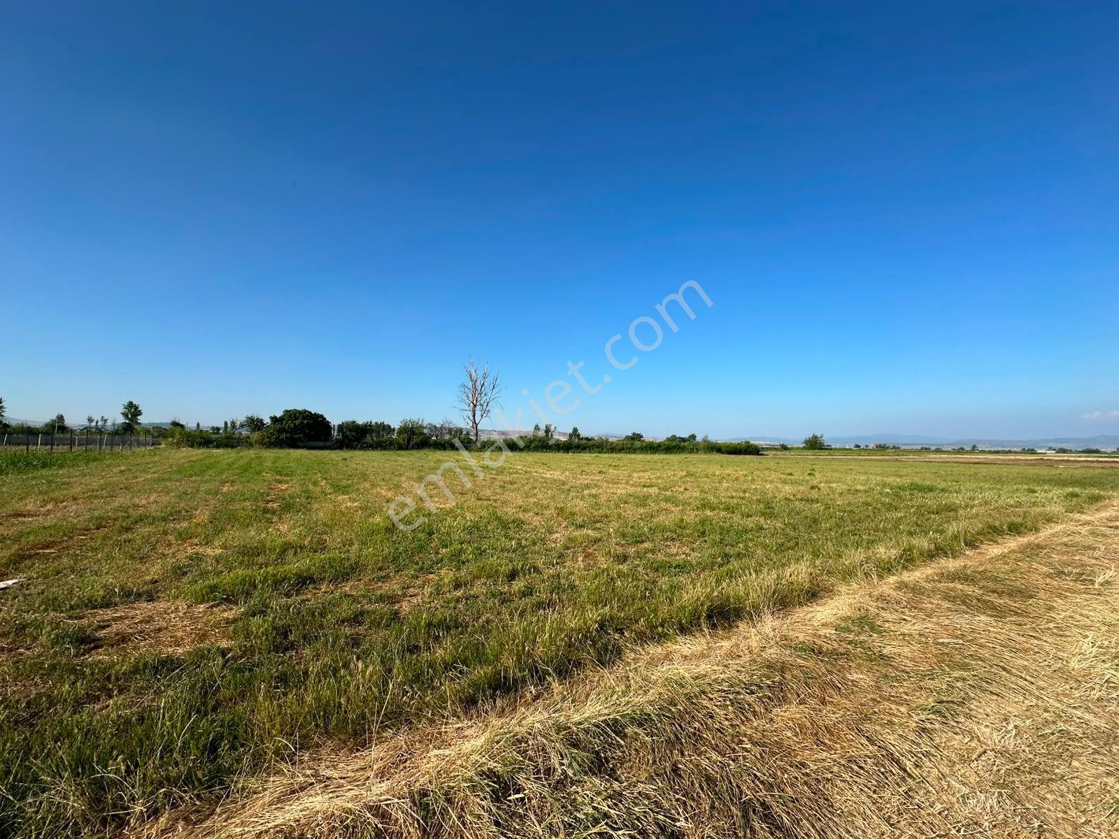 S&s Emlakdan Balıkesir Yakupköy Mahallesinde Satılık 1872 M2 Tarla - Görsel 4