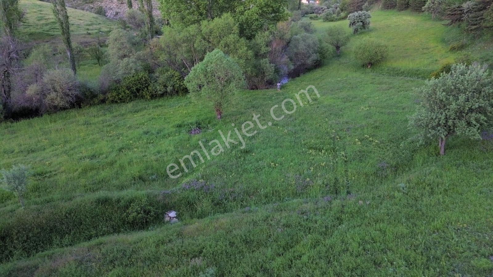 Giresun Alucra Çamlıyayla'da Satılık Tarla - Görsel 18