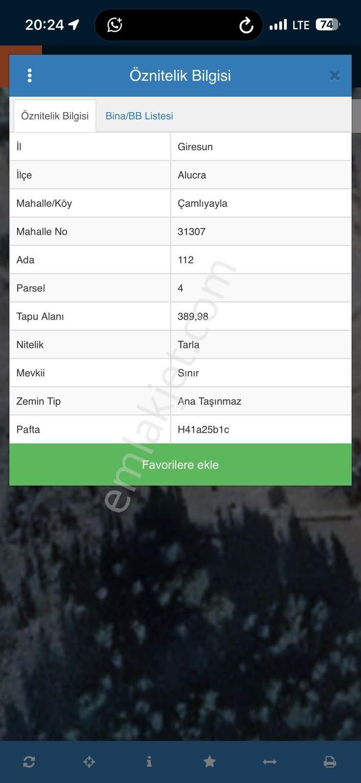 Giresun Alucra Çamlıyayla'da Satılık Tarla - Görsel 19