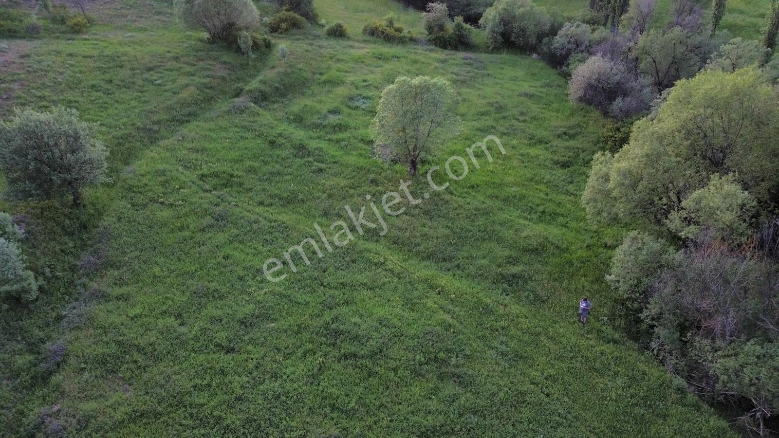 Giresun Alucra Çamlıyayla'da Satılık Tarla - Görsel 15