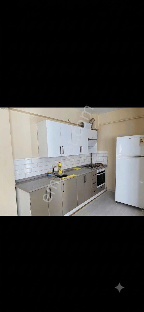Kiralık 1+1 Daire - Görsel 3