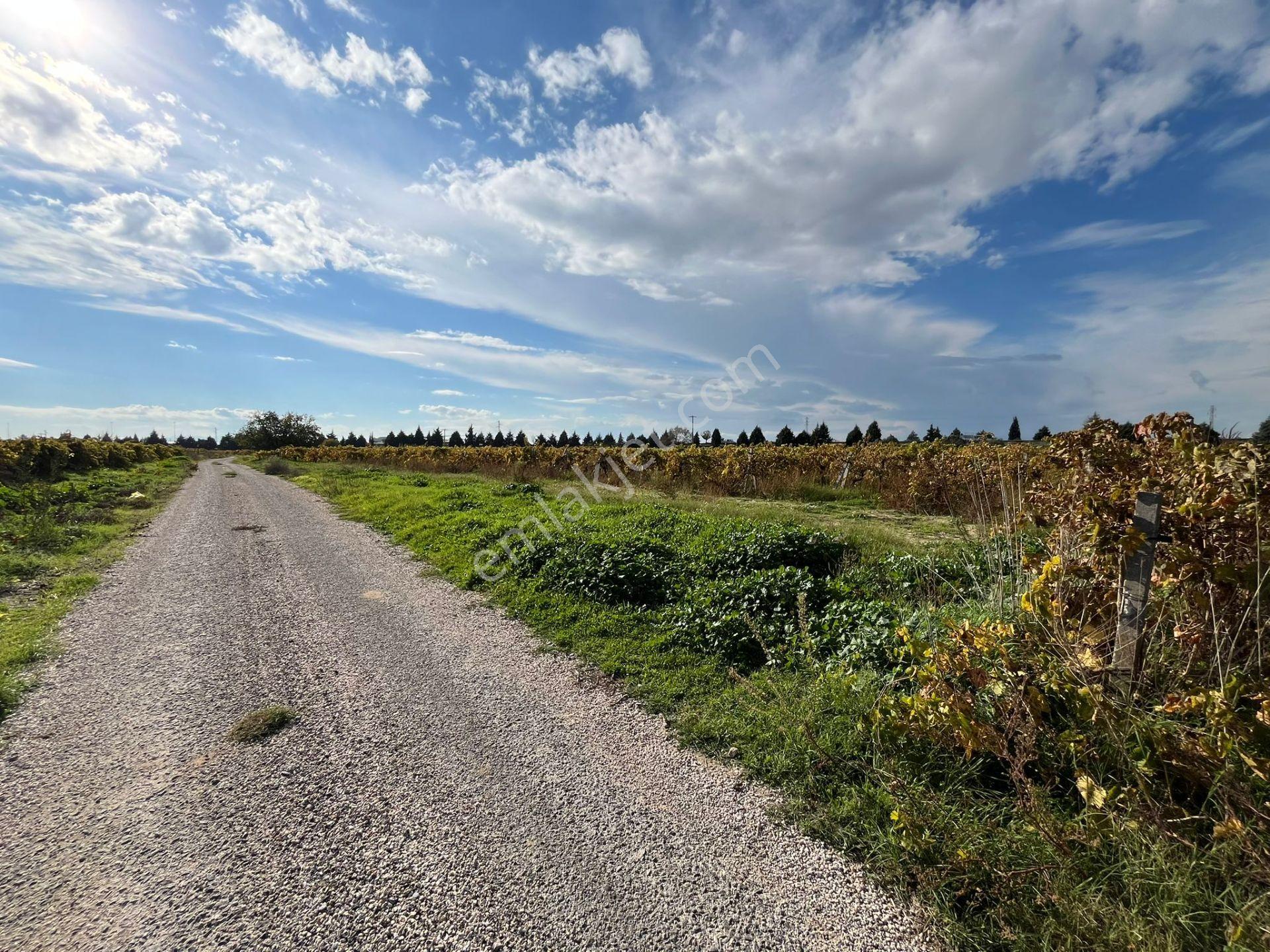 Menemen Çavuşköyde Çanakkale Asfaltı Yanı 6.500 M2 Satılık Bağ - Görsel 4