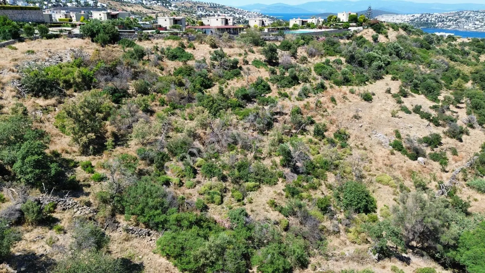 Bodrum Gündoğan'da Denize Yakın 17 Dönüm Satılık Arsa - Görsel 2