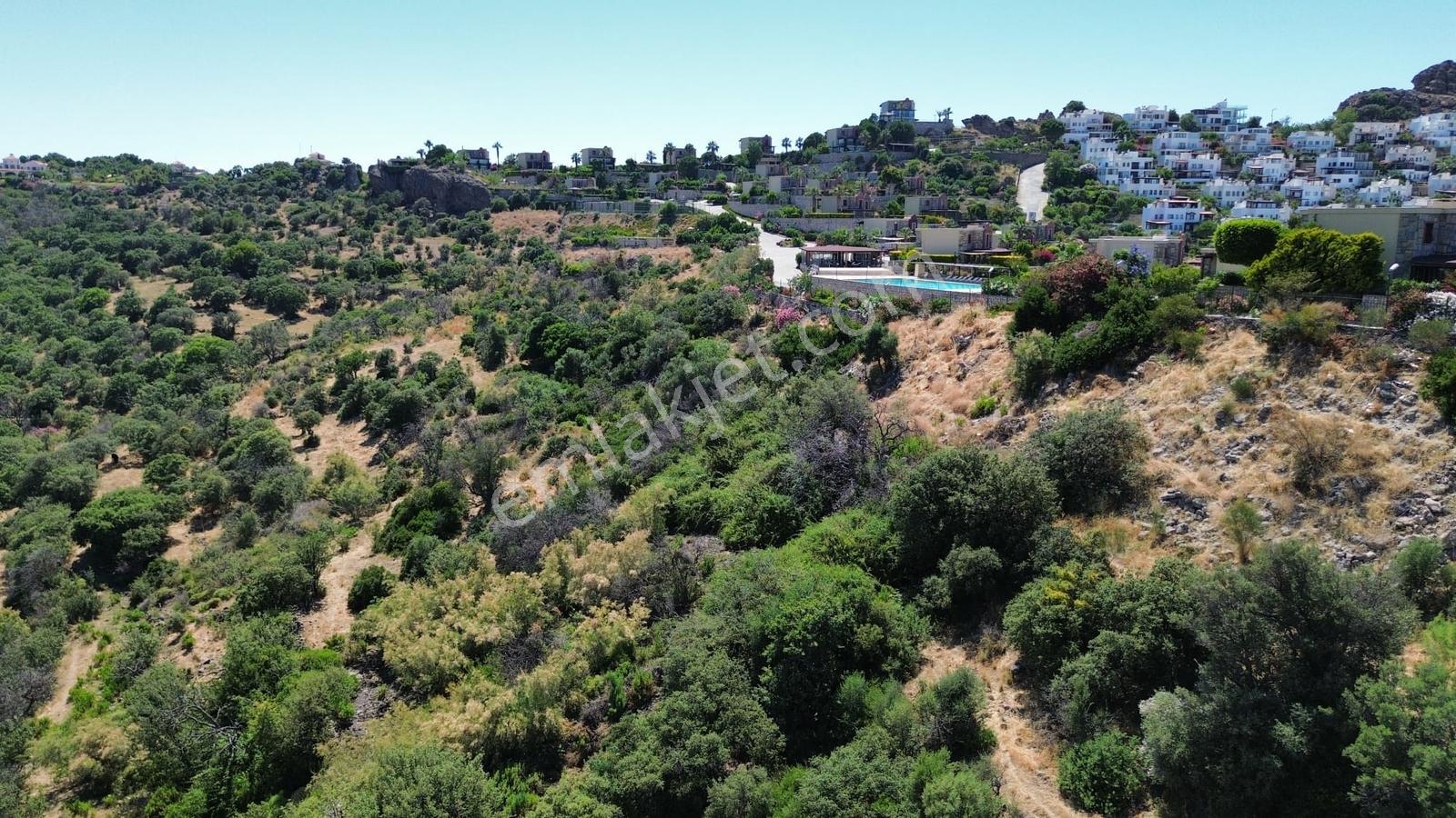 Bodrum Gündoğan'da Denize Yakın 17 Dönüm Satılık Arsa - Görsel 6