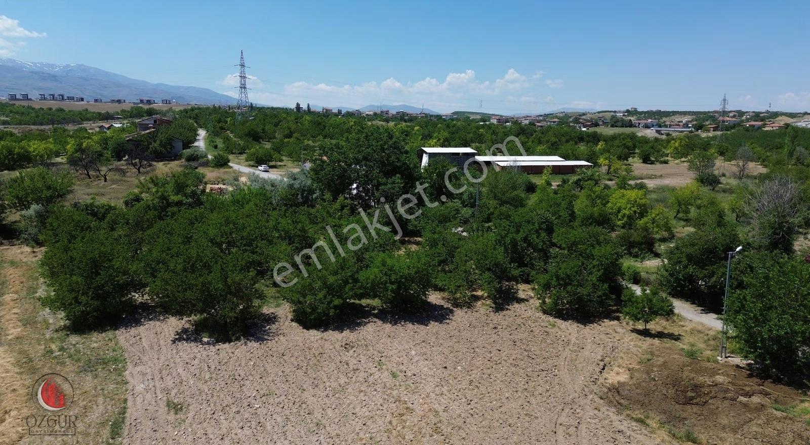 Özgür'den Battalgazi Kuzey Ç. Yolu Yanı 4.935 M² Satılık Bahçe - Görsel 7