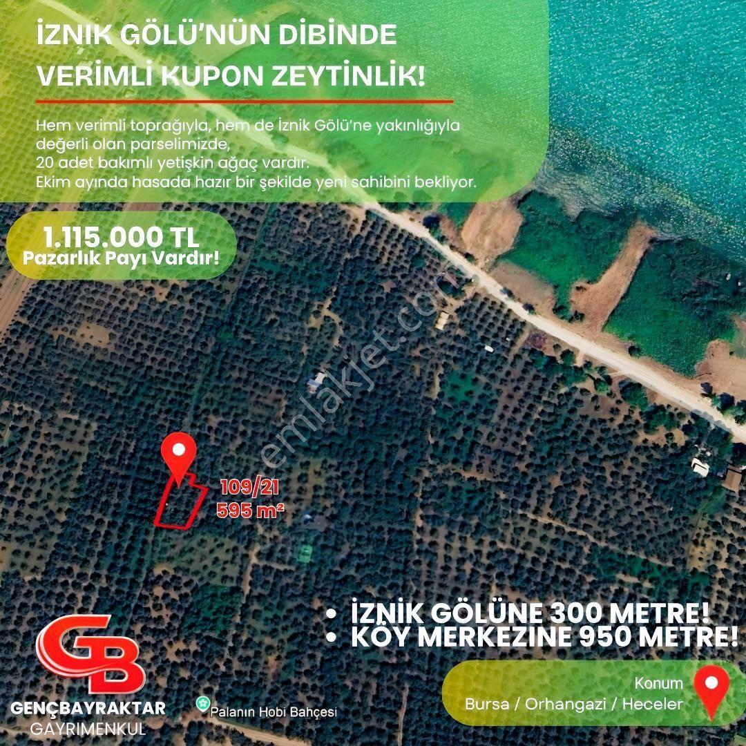 Gençbayraktar'dan İznik Gölüne 300 Metre Mesafede Zeytinlik - Görsel 2