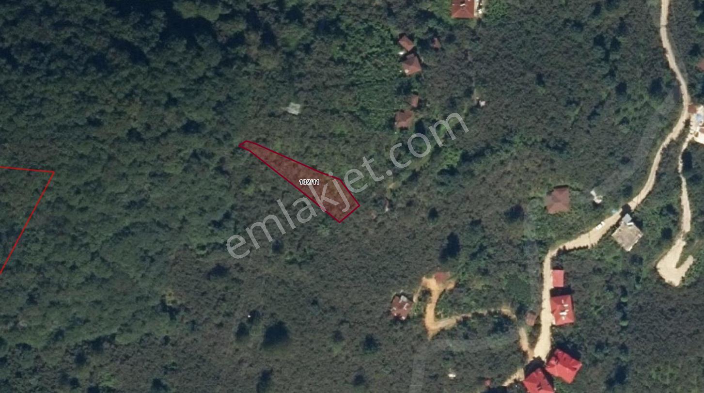 Giresun Yağlıdere Kızılelma'da Satılık Fındık Bahçesi - Görsel 19