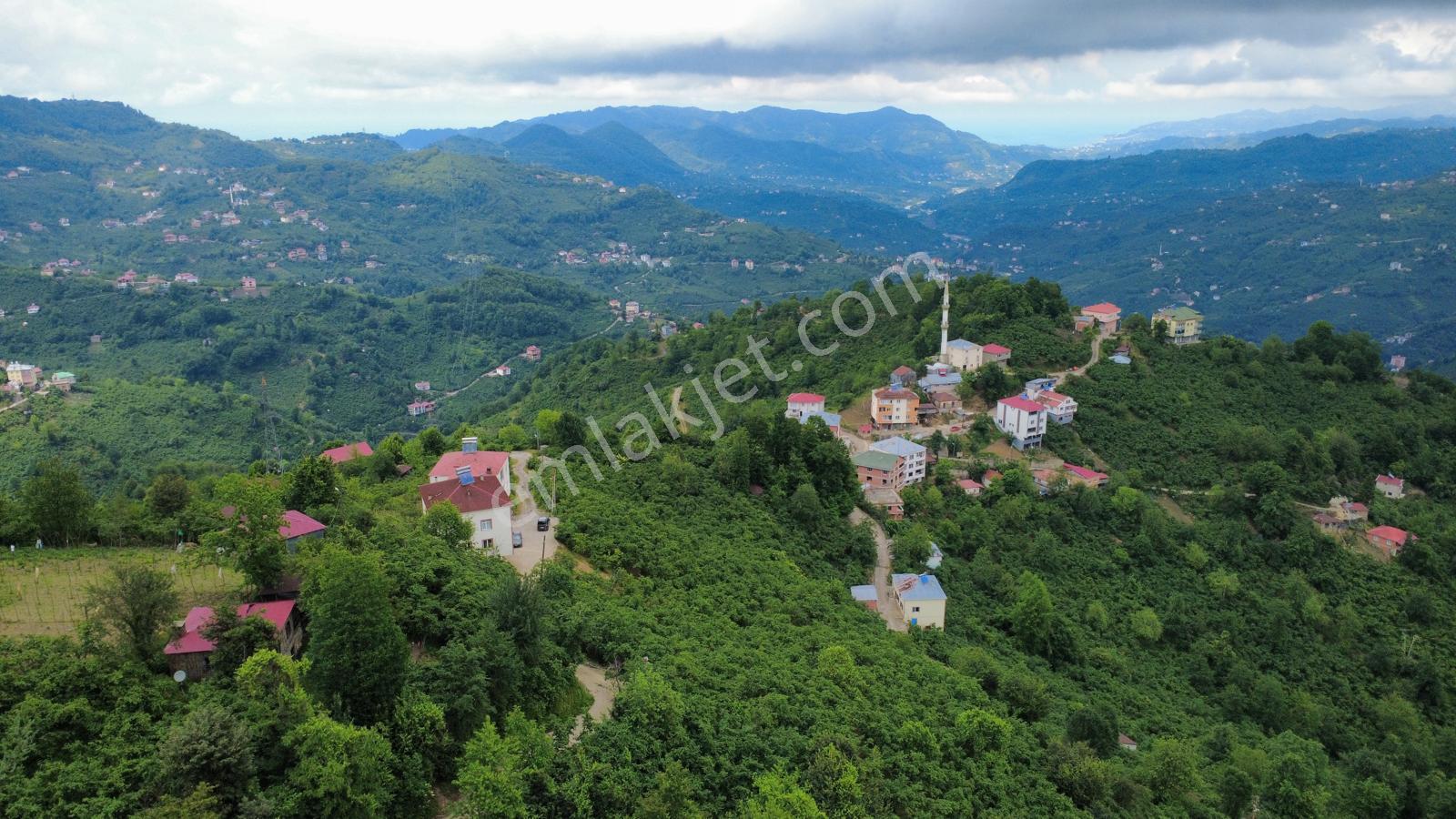 Giresun Yağlıdere Kızılelma'da Satılık Fındık Bahçesi - Görsel 8