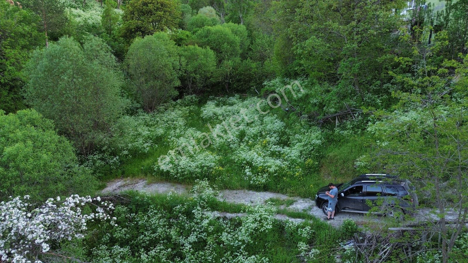 Giresun Alucra Çamlıyayla'da Satılık Tarla - Görsel 2