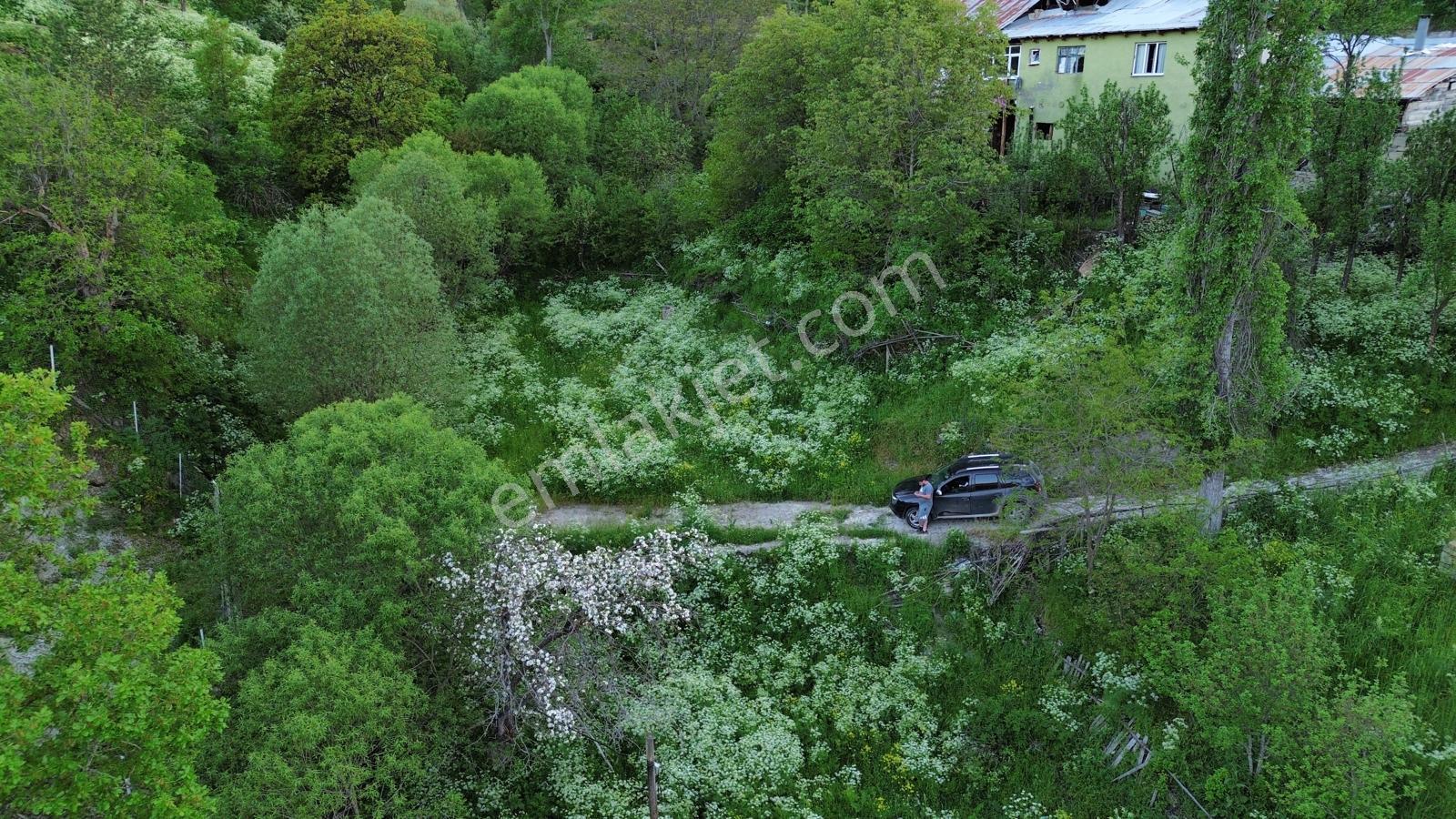 Giresun Alucra Çamlıyayla'da Satılık Tarla - Görsel 23