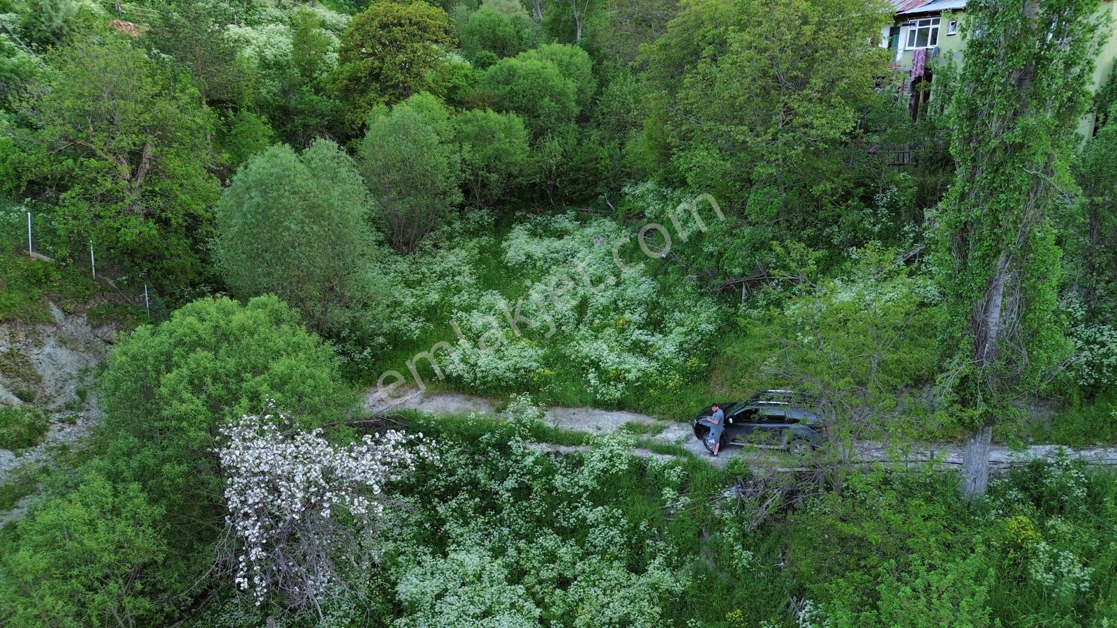 Giresun Alucra Çamlıyayla'da Satılık Tarla - Görsel 8