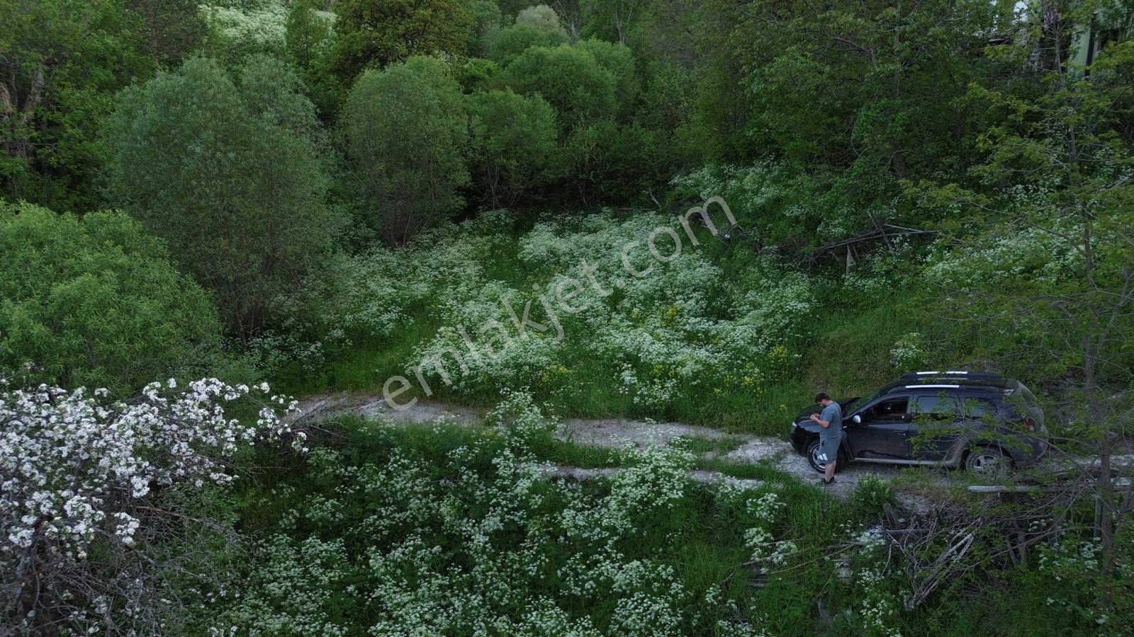 Giresun Alucra Çamlıyayla'da Satılık Tarla - Görsel 15
