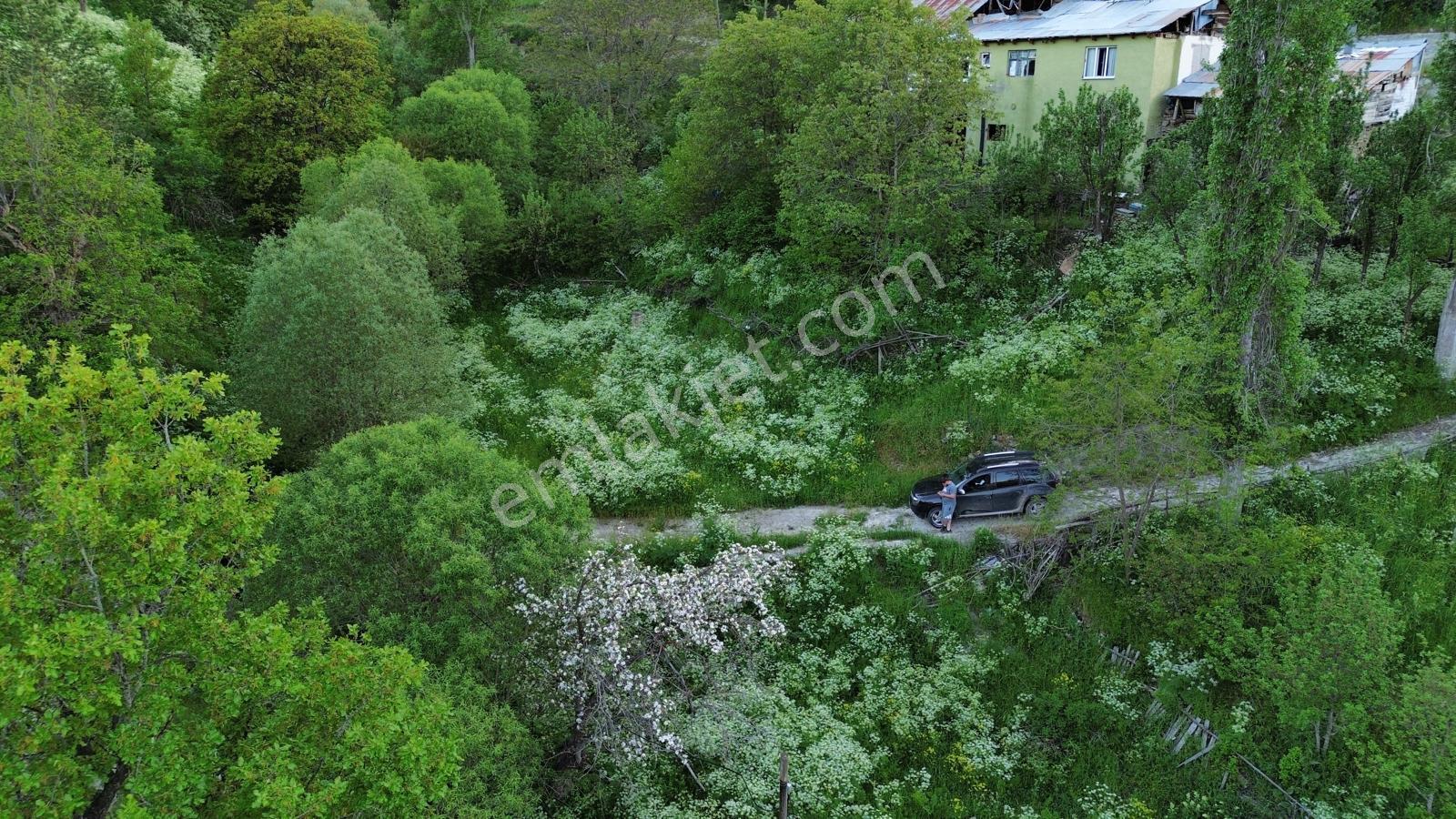 Giresun Alucra Çamlıyayla'da Satılık Tarla - Görsel 10