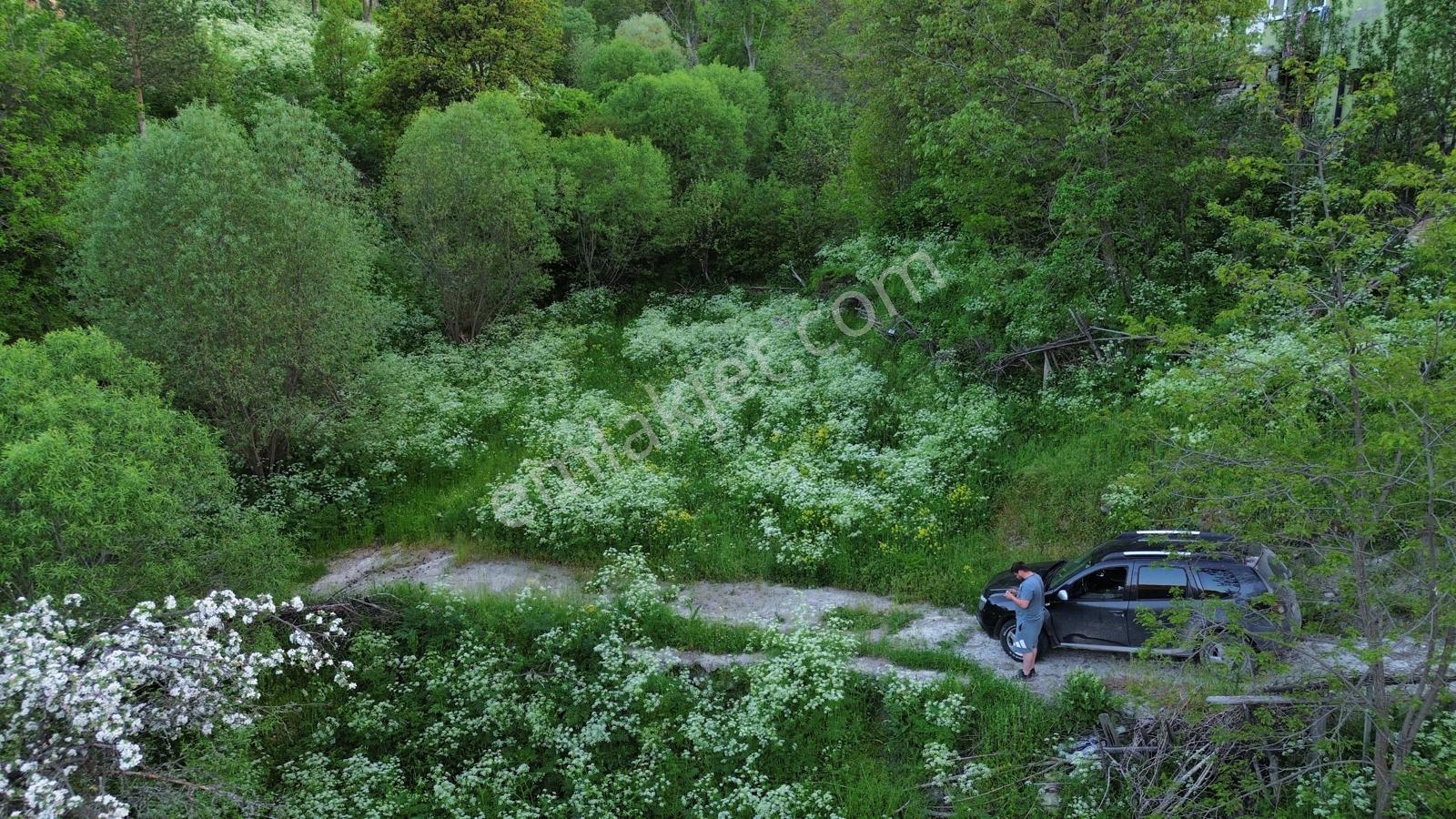 Giresun Alucra Çamlıyayla'da Satılık Tarla - Görsel 5