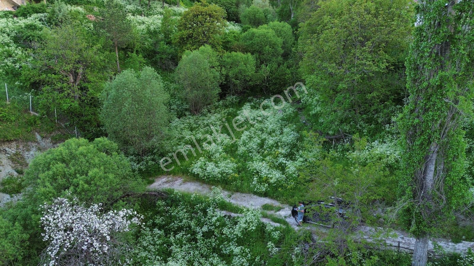 Giresun Alucra Çamlıyayla'da Satılık Tarla - Görsel 22