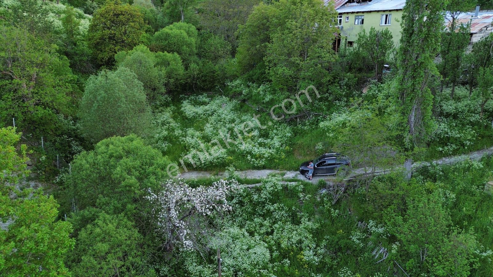 Giresun Alucra Çamlıyayla'da Satılık Tarla - Görsel 17
