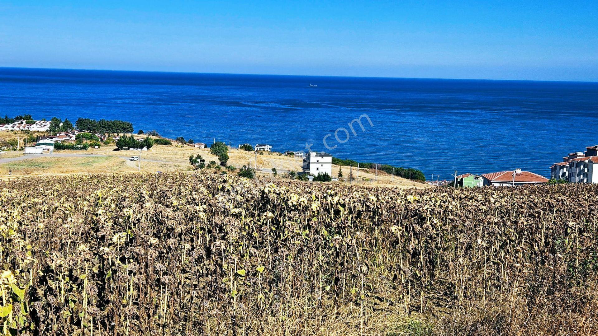 Full Deniz Ve Şehir Manzaralı Hayelinizdeki Müstakil Evi Yapmanız İçin Kupon Arsa - Görsel 30