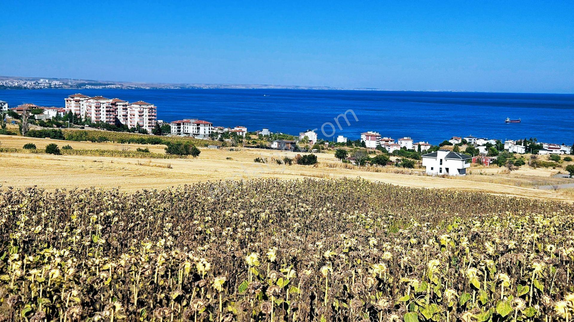 Full Deniz Ve Şehir Manzaralı Hayelinizdeki Müstakil Evi Yapmanız İçin Kupon Arsa - Görsel 8