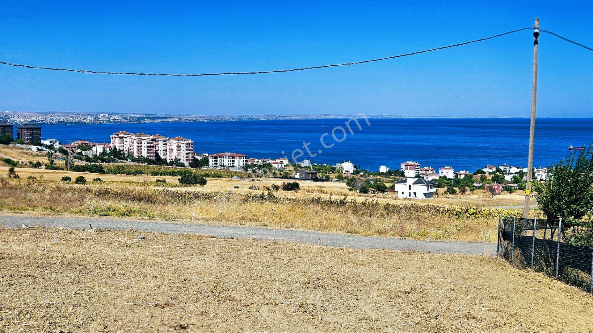 Full Deniz Ve Şehir Manzaralı Hayelinizdeki Müstakil Evi Yapmanız İçin Kupon Arsa - Görsel 2