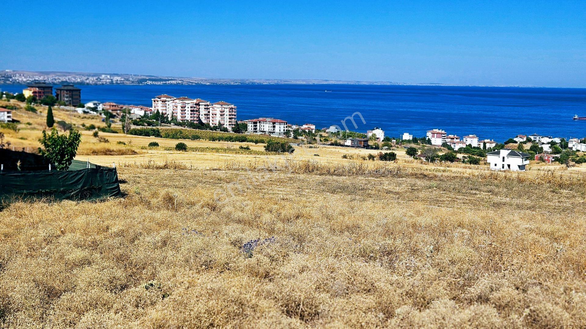 Full Deniz Ve Şehir Manzaralı Hayelinizdeki Müstakil Evi Yapmanız İçin Kupon Arsa - Görsel 22
