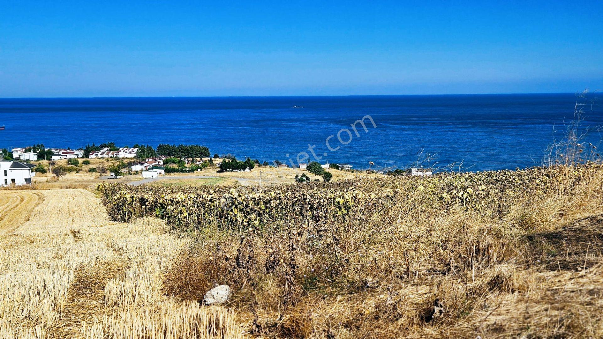 Full Deniz Ve Şehir Manzaralı Hayelinizdeki Müstakil Evi Yapmanız İçin Kupon Arsa - Görsel 11