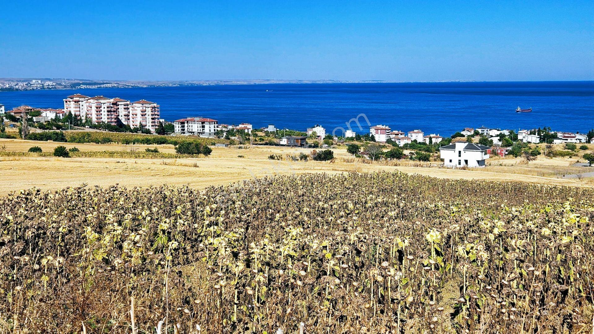 Full Deniz Ve Şehir Manzaralı Hayelinizdeki Müstakil Evi Yapmanız İçin Kupon Arsa - Görsel 26