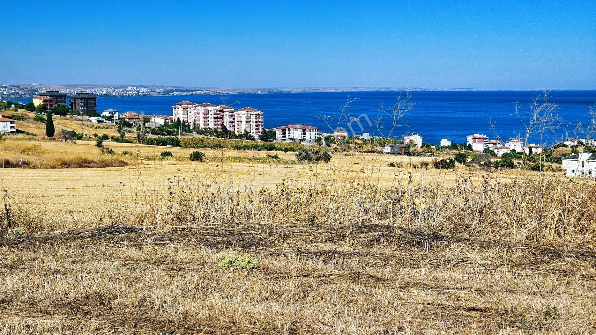 Full Deniz Ve Şehir Manzaralı Hayelinizdeki Müstakil Evi Yapmanız İçin Kupon Arsa - Görsel 32