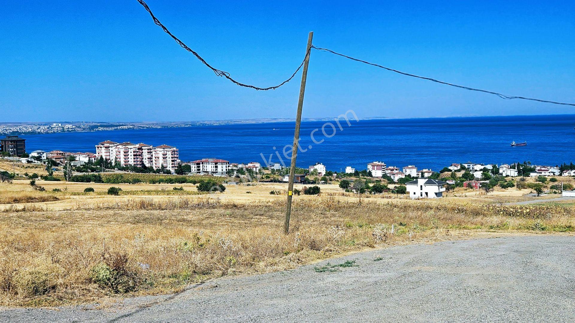 Full Deniz Ve Şehir Manzaralı Hayelinizdeki Müstakil Evi Yapmanız İçin Kupon Arsa - Görsel 3
