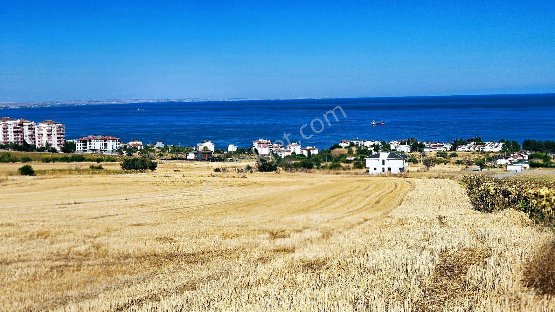 Full Deniz Ve Şehir Manzaralı Hayelinizdeki Müstakil Evi Yapmanız İçin Kupon Arsa - Görsel 14