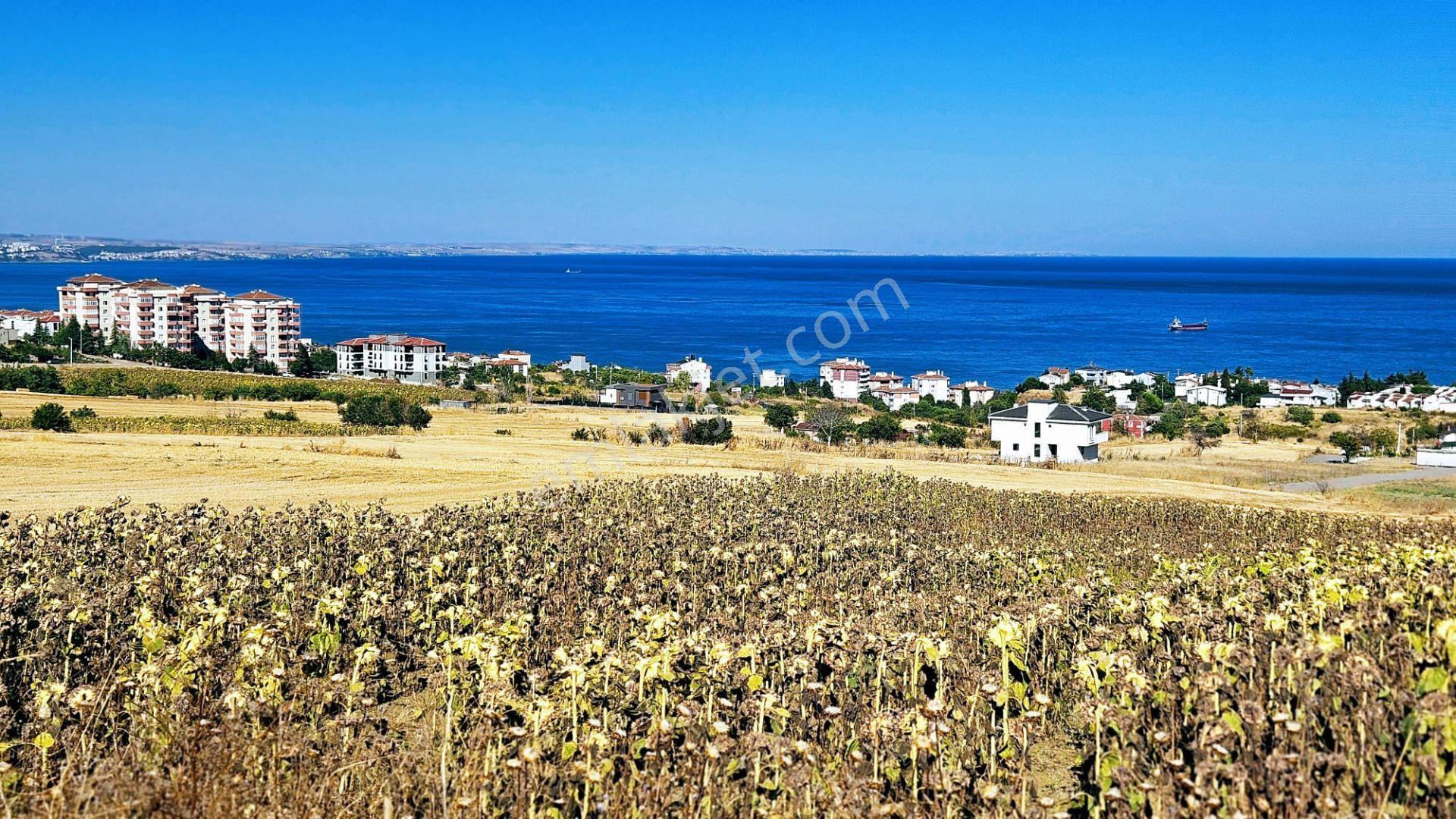 Full Deniz Ve Şehir Manzaralı Hayelinizdeki Müstakil Evi Yapmanız İçin Kupon Arsa - Görsel 27