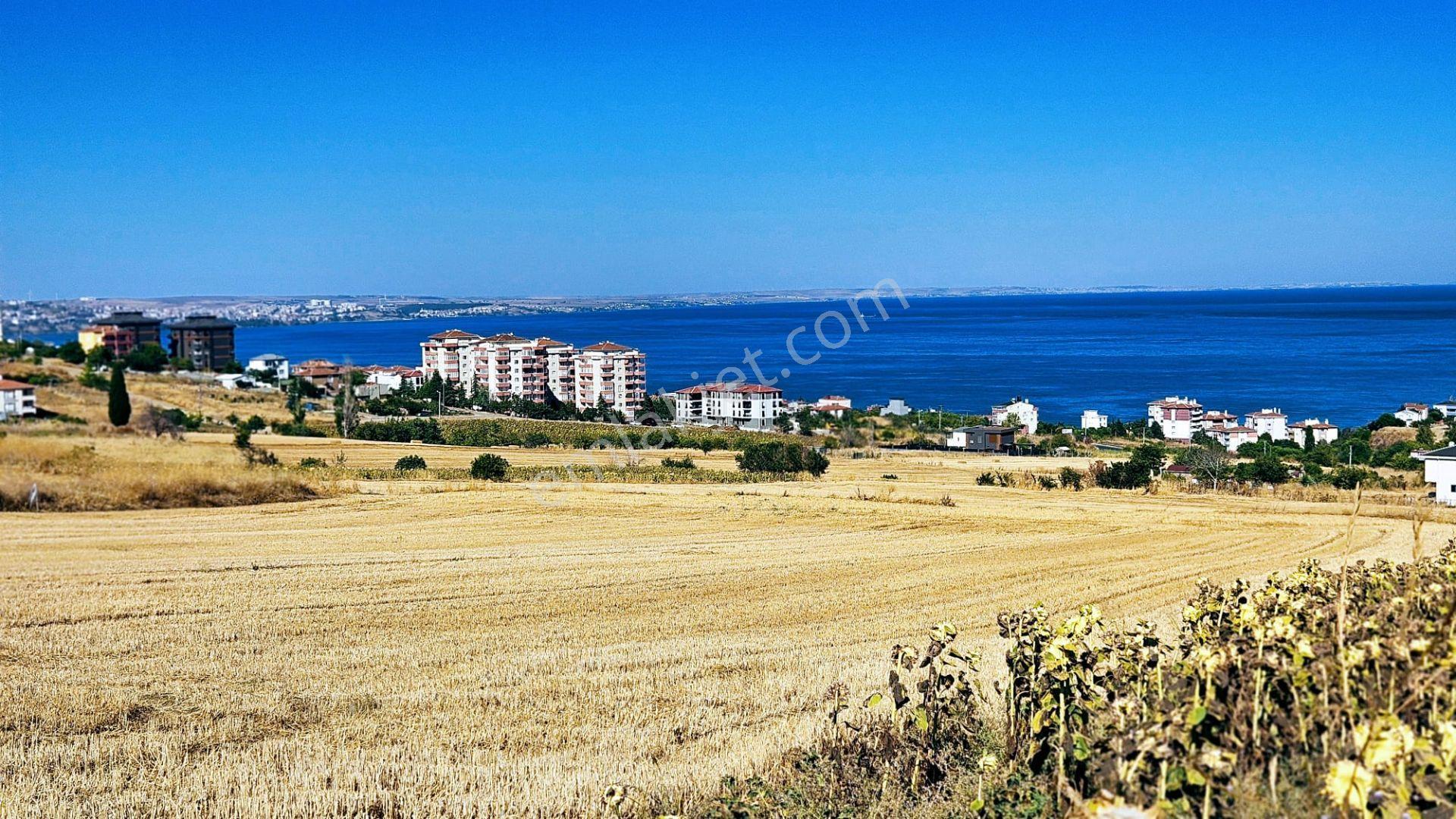 Full Deniz Ve Şehir Manzaralı Hayelinizdeki Müstakil Evi Yapmanız İçin Kupon Arsa - Görsel 12