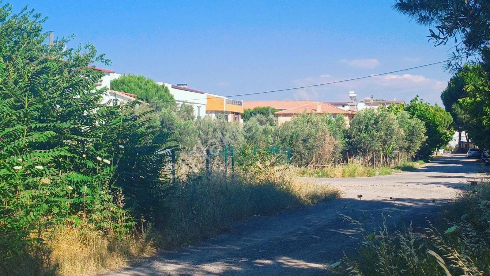 Yenişakran Merkezde 2000 M² İmar Dibi Yatırım Fırsatı - Görsel 12