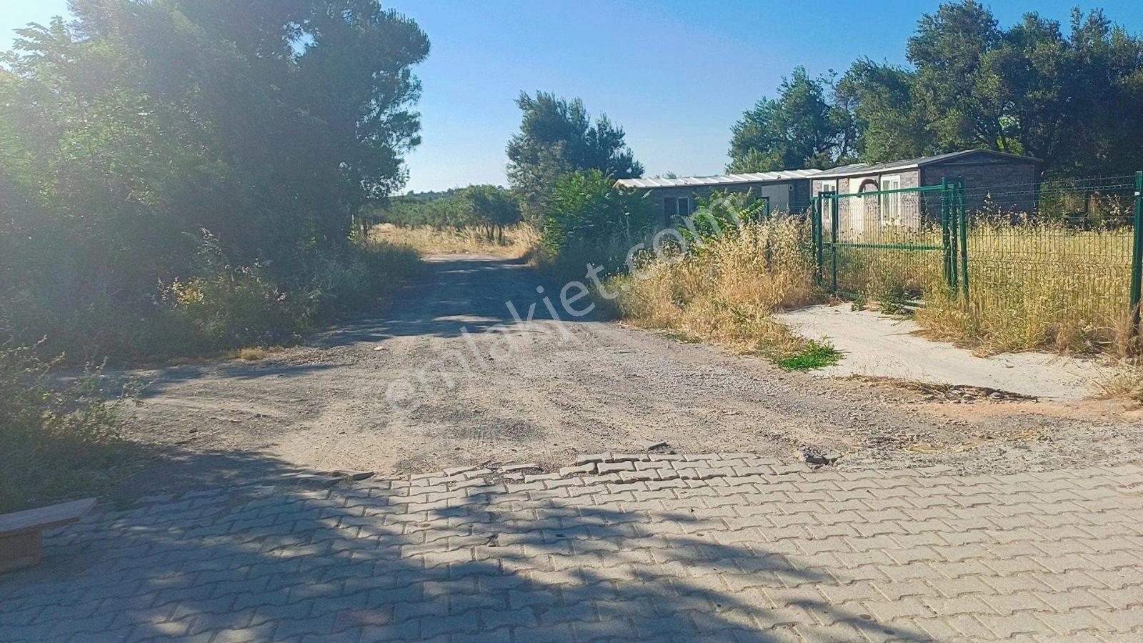 Yenişakran Merkezde 2000 M² İmar Dibi Yatırım Fırsatı - Görsel 14