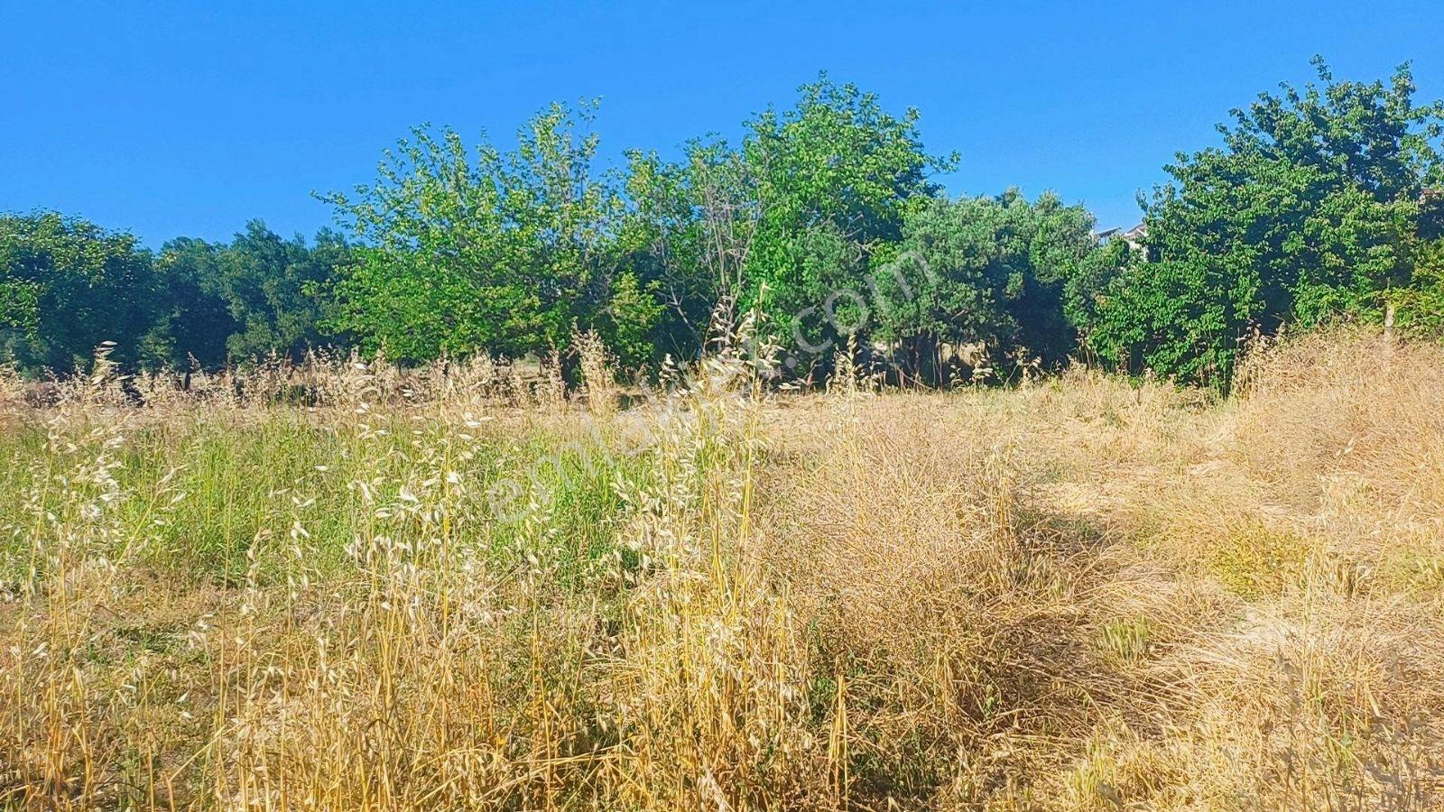 Yenişakran Merkezde 2000 M² İmar Dibi Yatırım Fırsatı - Görsel 4