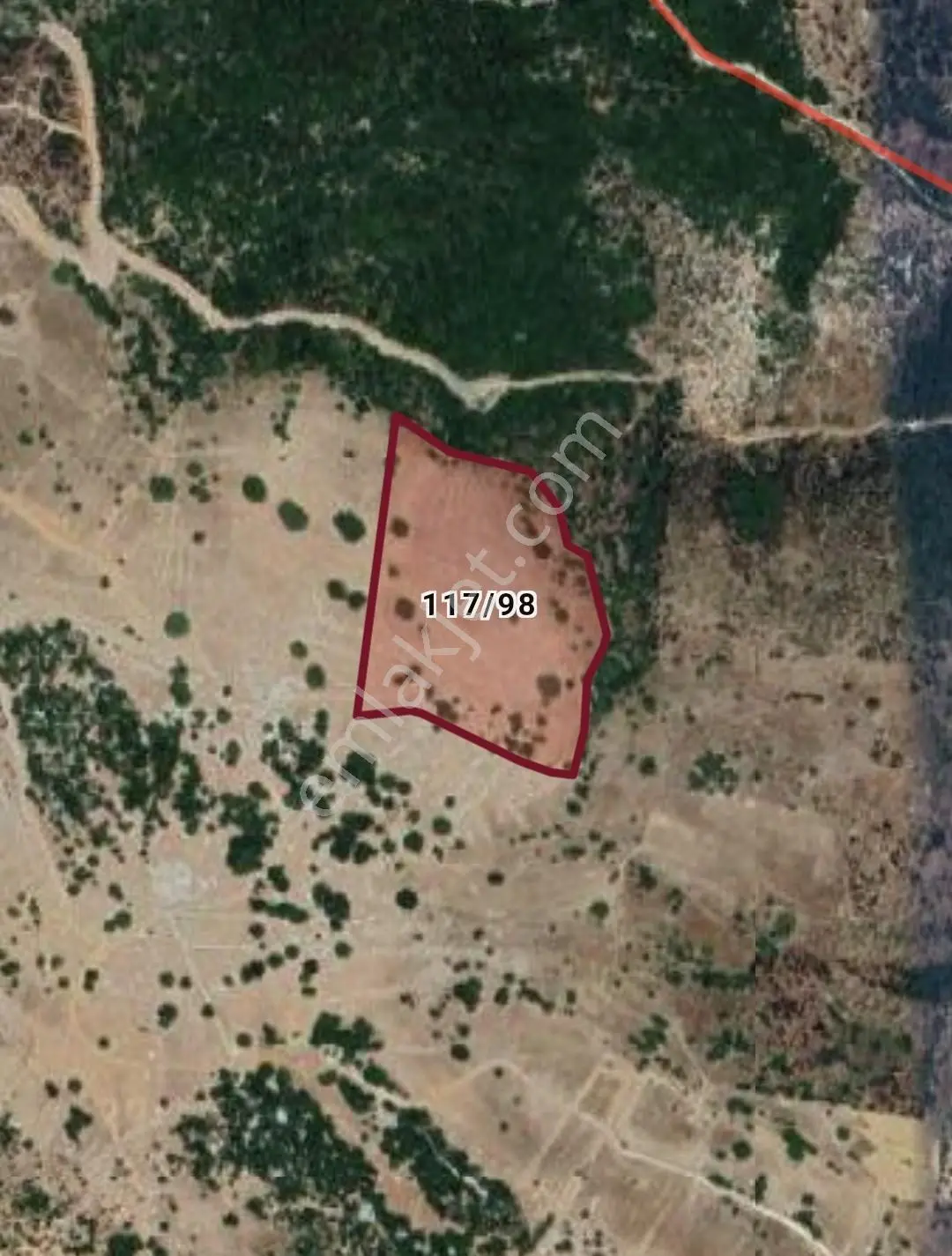 Muğla Milas Çam Mevkii'nde 53 Dönüm Satılık Tarla - Görsel 3