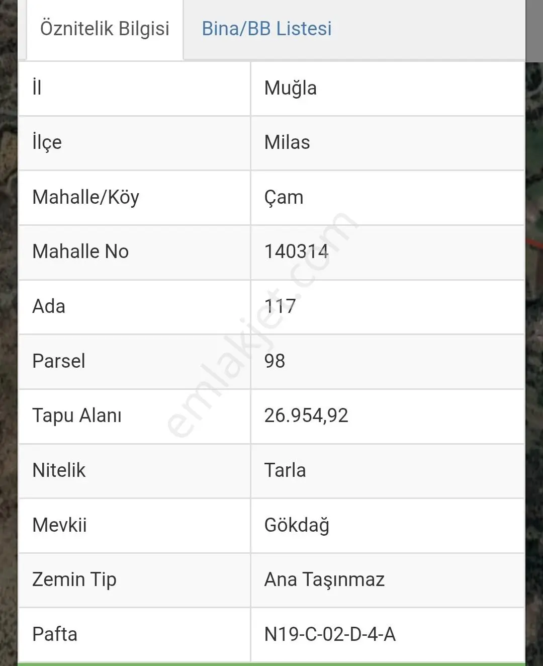 Muğla Milas Çam Mevkii'nde 53 Dönüm Satılık Tarla - Görsel 6