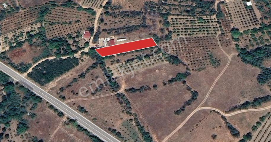 Isparta Eğirdir Barlada 1.157 M² Anayola 75 Metre Mesafe - Görsel 7