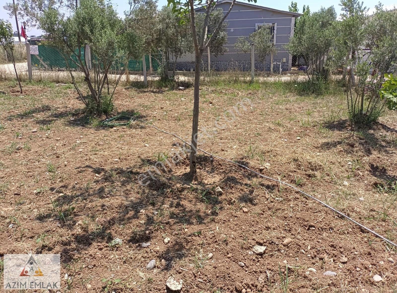 Karacaağaç'ta Kiralık 1+1 Bahçeli Daire - Görsel 19