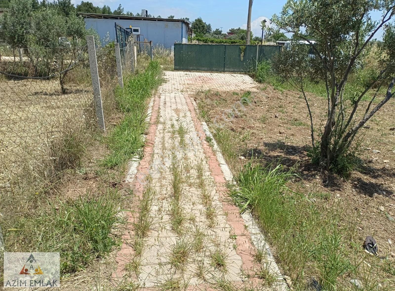 Karacaağaç'ta Kiralık 1+1 Bahçeli Daire - Görsel 26