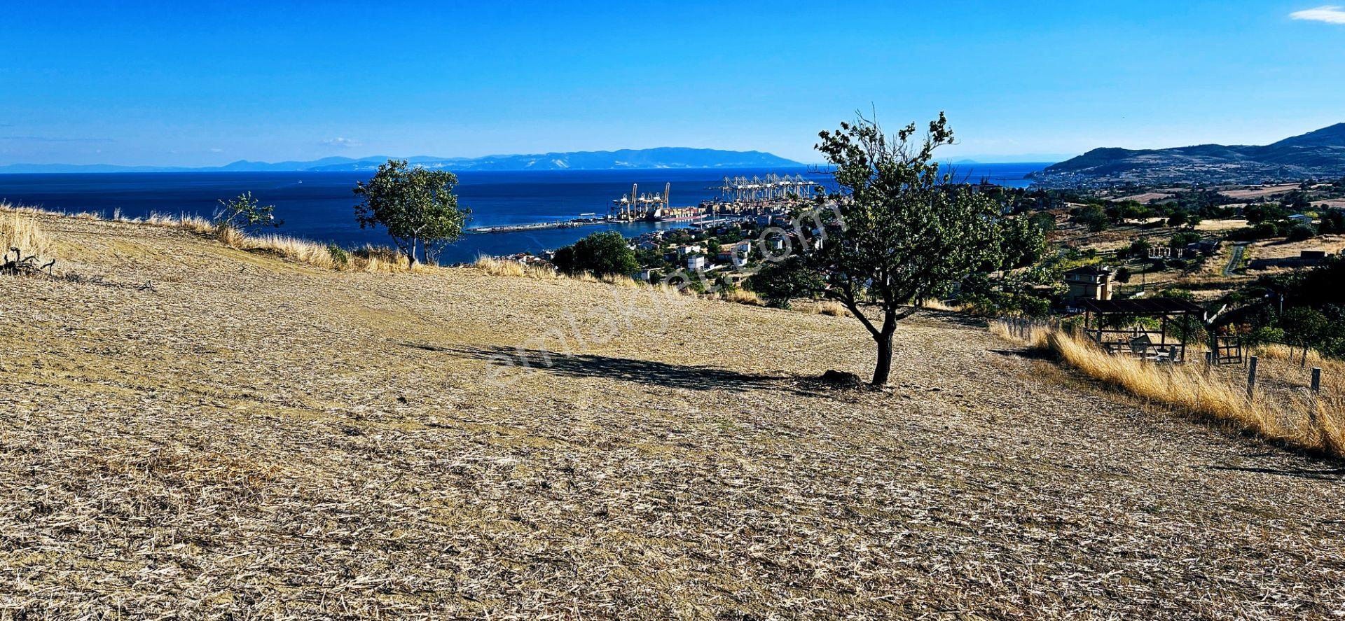 Full Deniz Manzara İster 2 Adet Lüxs Villa Yap İstersen 9 Adet Daire Yap Kelepir Arsa - Görsel 30