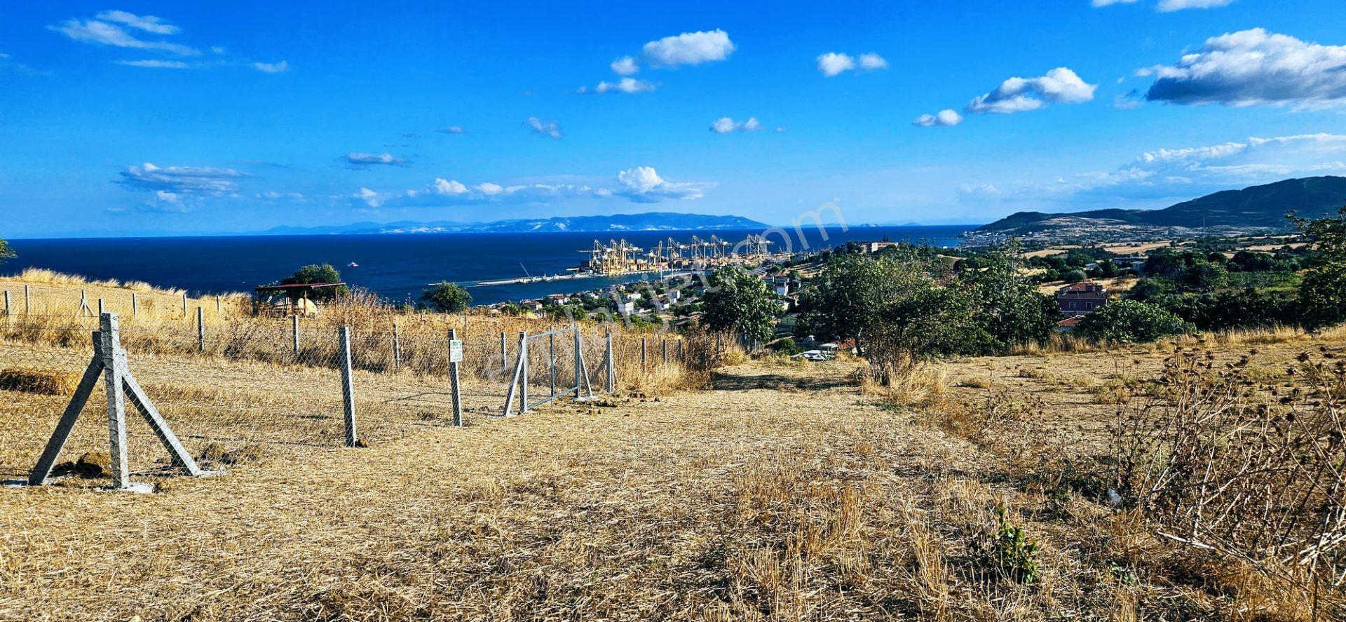 Full Deniz Manzara İster 2 Adet Lüxs Villa Yap İstersen 9 Adet Daire Yap Kelepir Arsa