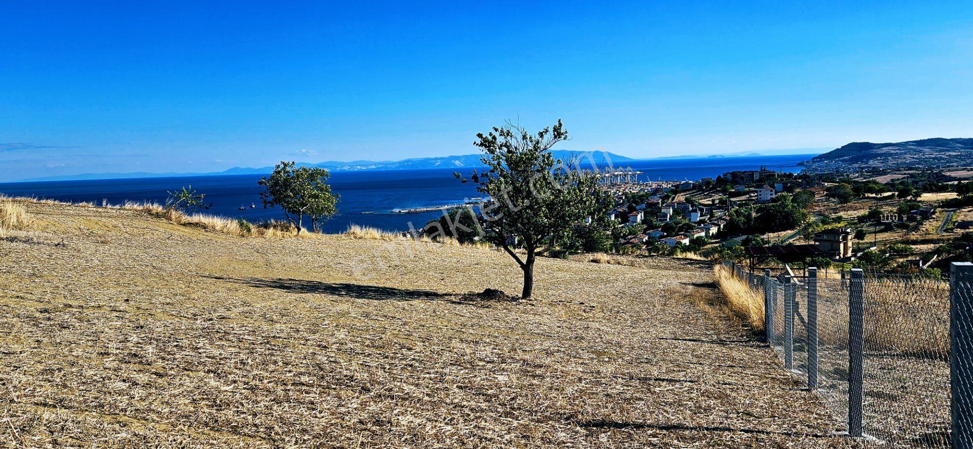 Full Deniz Manzara İster 2 Adet Lüxs Villa Yap İstersen 9 Adet Daire Yap Kelepir Arsa - Görsel 27