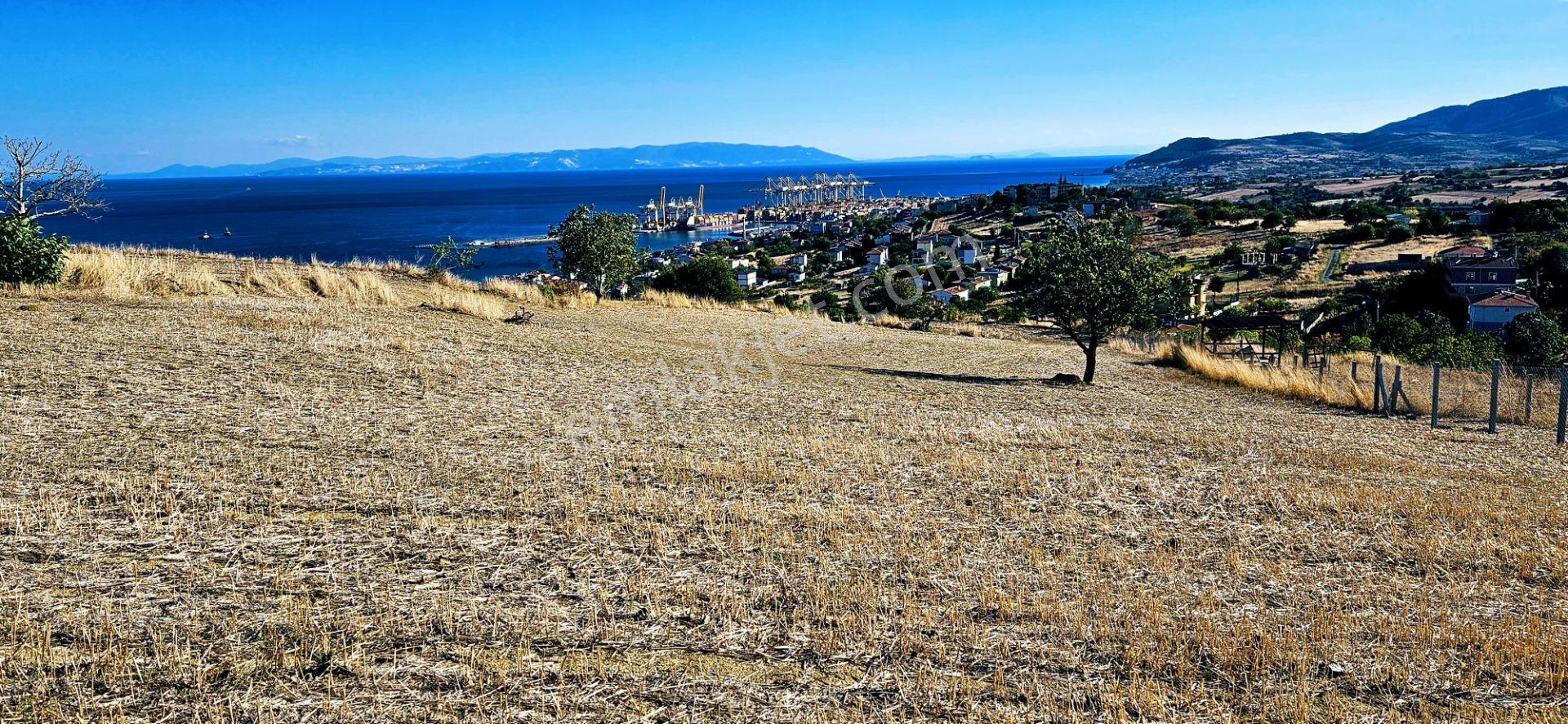 Full Deniz Manzara İster 2 Adet Lüxs Villa Yap İstersen 9 Adet Daire Yap Kelepir Arsa - Görsel 18
