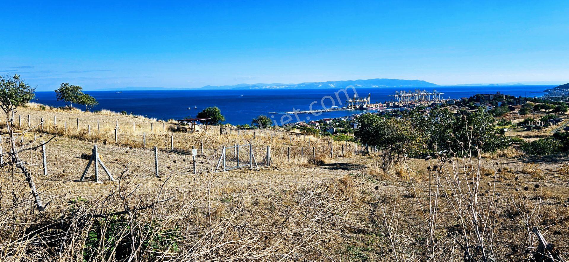 Full Deniz Manzara İster 2 Adet Lüxs Villa Yap İstersen 9 Adet Daire Yap Kelepir Arsa - Görsel 2