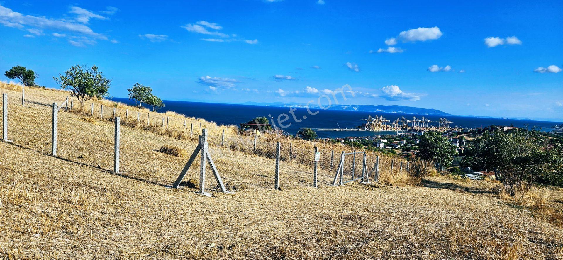 Full Deniz Manzara İster 2 Adet Lüxs Villa Yap İstersen 9 Adet Daire Yap Kelepir Arsa - Görsel 16