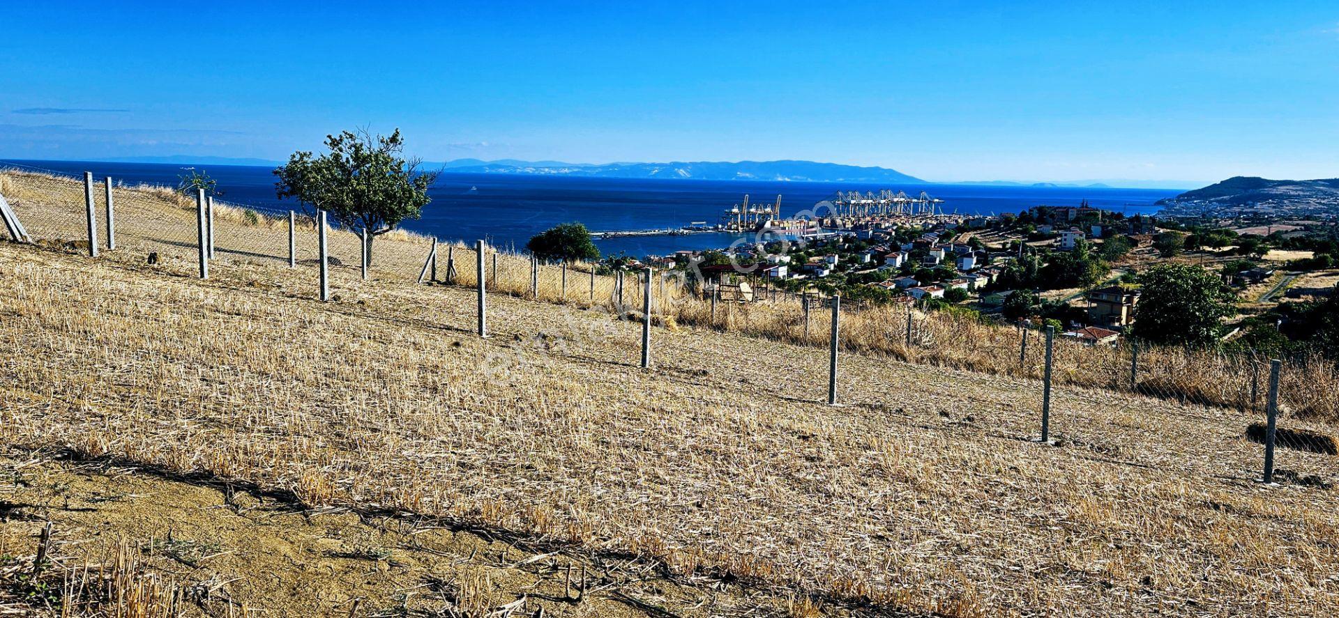 Full Deniz Manzara İster 2 Adet Lüxs Villa Yap İstersen 9 Adet Daire Yap Kelepir Arsa - Görsel 14