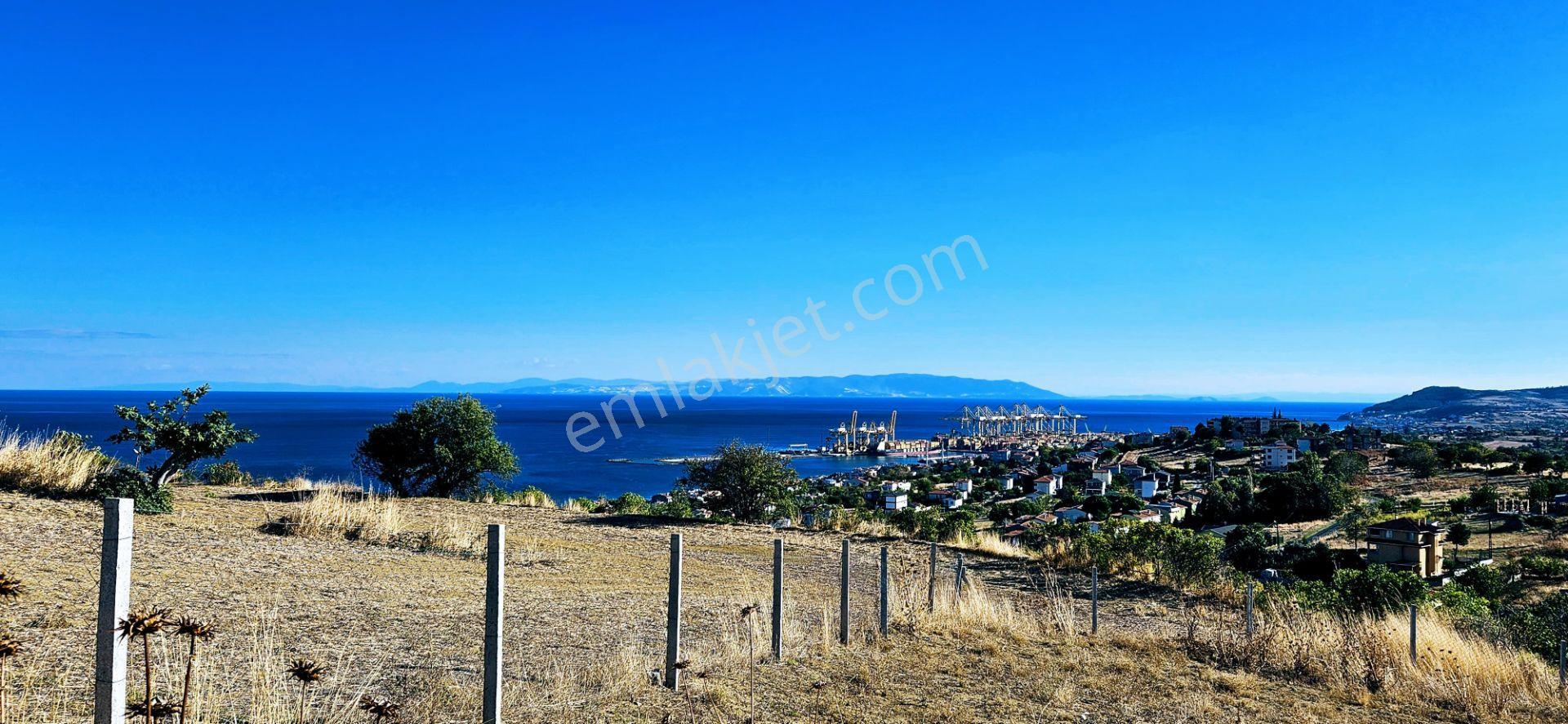 Full Deniz Manzara İster 2 Adet Lüxs Villa Yap İstersen 9 Adet Daire Yap Kelepir Arsa - Görsel 8