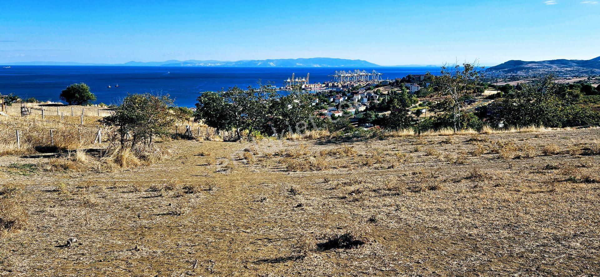 Full Deniz Manzara İster 2 Adet Lüxs Villa Yap İstersen 9 Adet Daire Yap Kelepir Arsa - Görsel 23