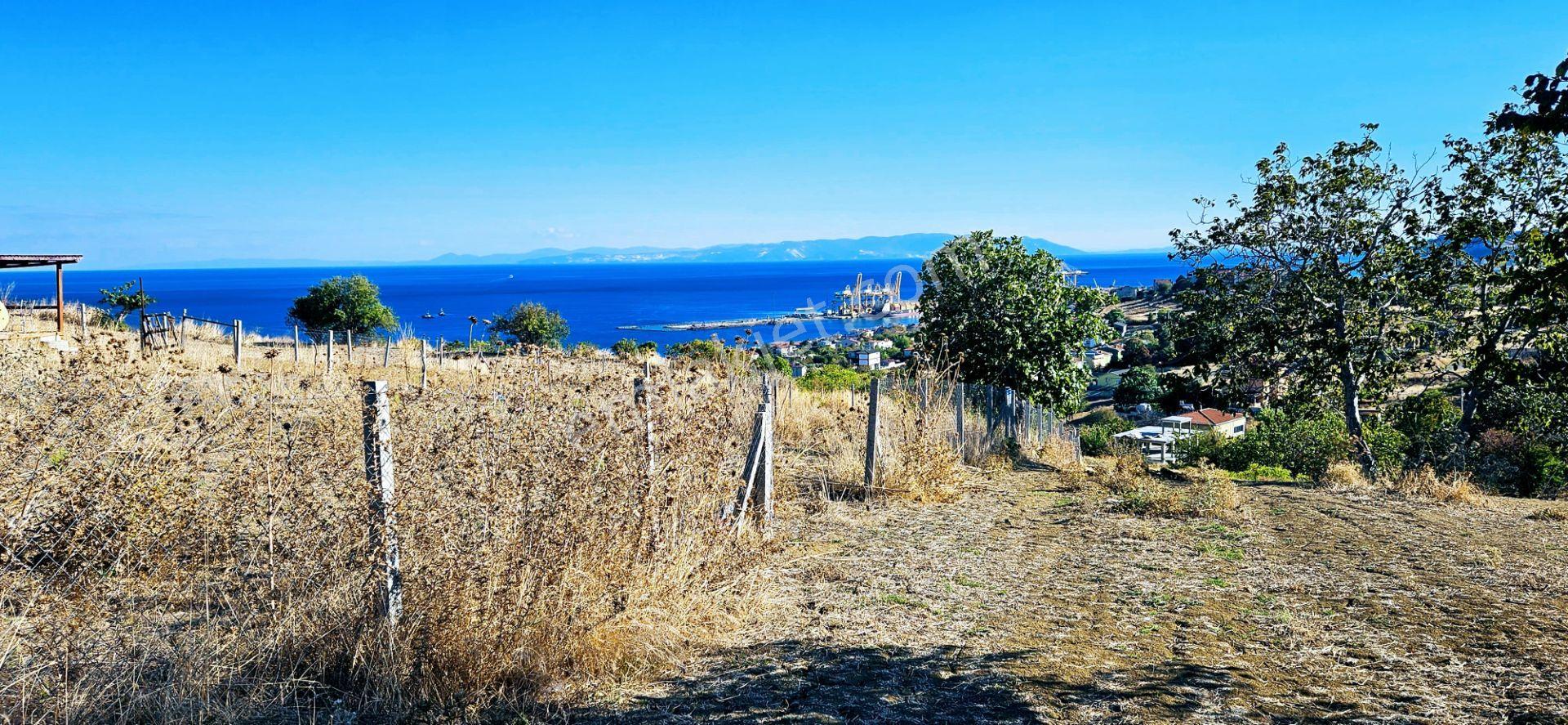 Full Deniz Manzara İster 2 Adet Lüxs Villa Yap İstersen 9 Adet Daire Yap Kelepir Arsa - Görsel 26