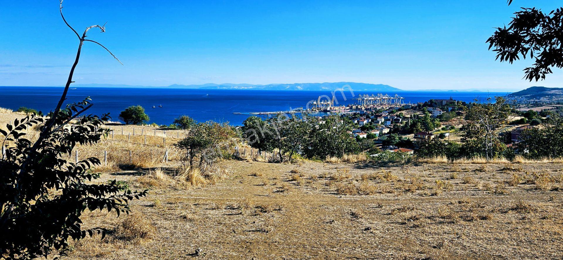 Full Deniz Manzara İster 2 Adet Lüxs Villa Yap İstersen 9 Adet Daire Yap Kelepir Arsa - Görsel 4